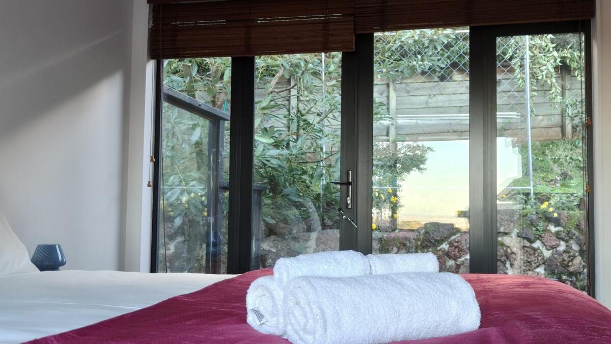 Vila Hidden Oasis In Epsom With Panoramic View Auckland Exteriér fotografie