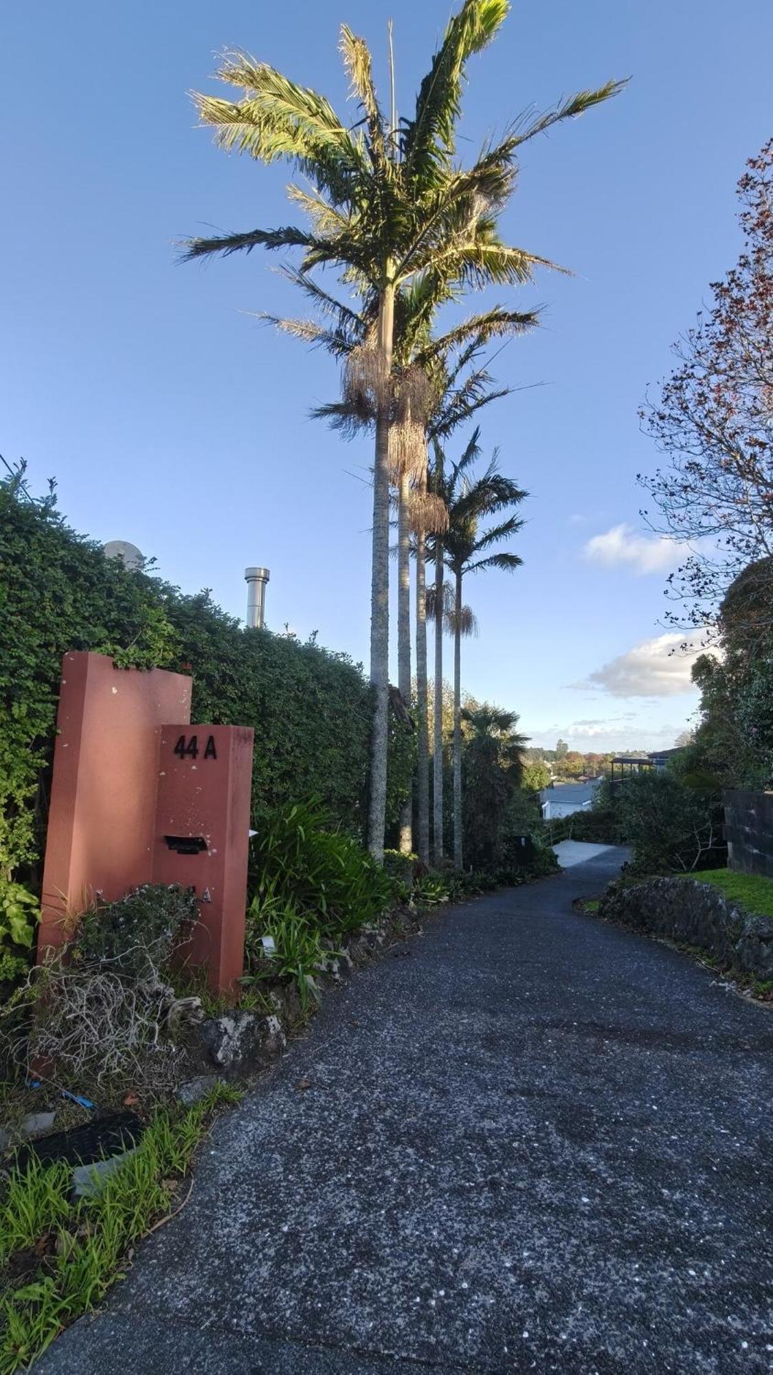 Vila Hidden Oasis In Epsom With Panoramic View Auckland Exteriér fotografie